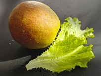 ˮ��������